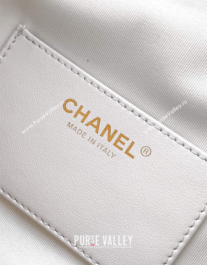 Chanel Quilted Soft Leather Hobo Bag White 2025 CH101101 (yezi-251011007)