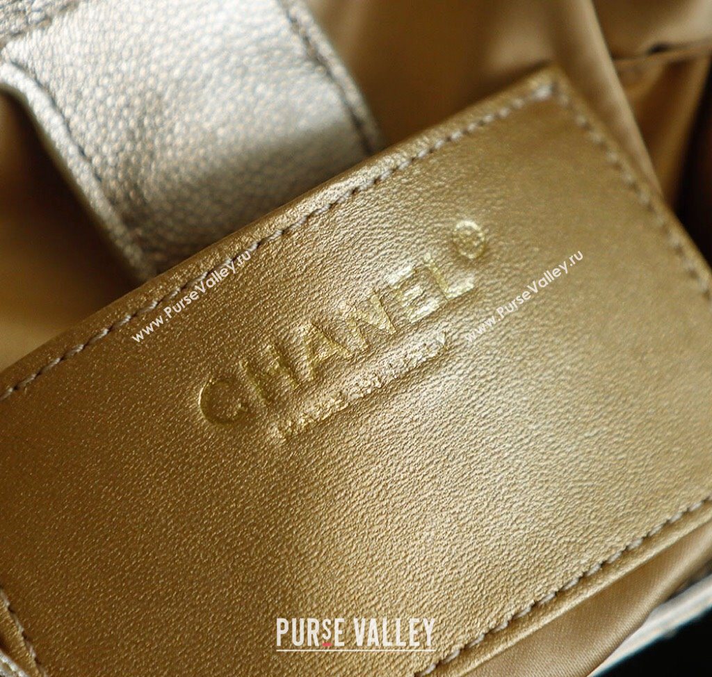 Chanel Grained Calfskin 25 Medium Backpack Bag Champagne Gold 2025 AS5600 (yezi-251009097)
