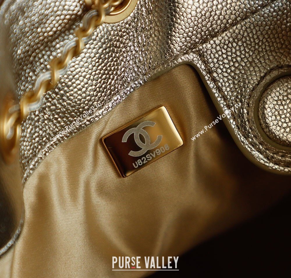 Chanel Grained Calfskin 25 Medium Backpack Bag Champagne Gold 2025 AS5600 (yezi-251009097)