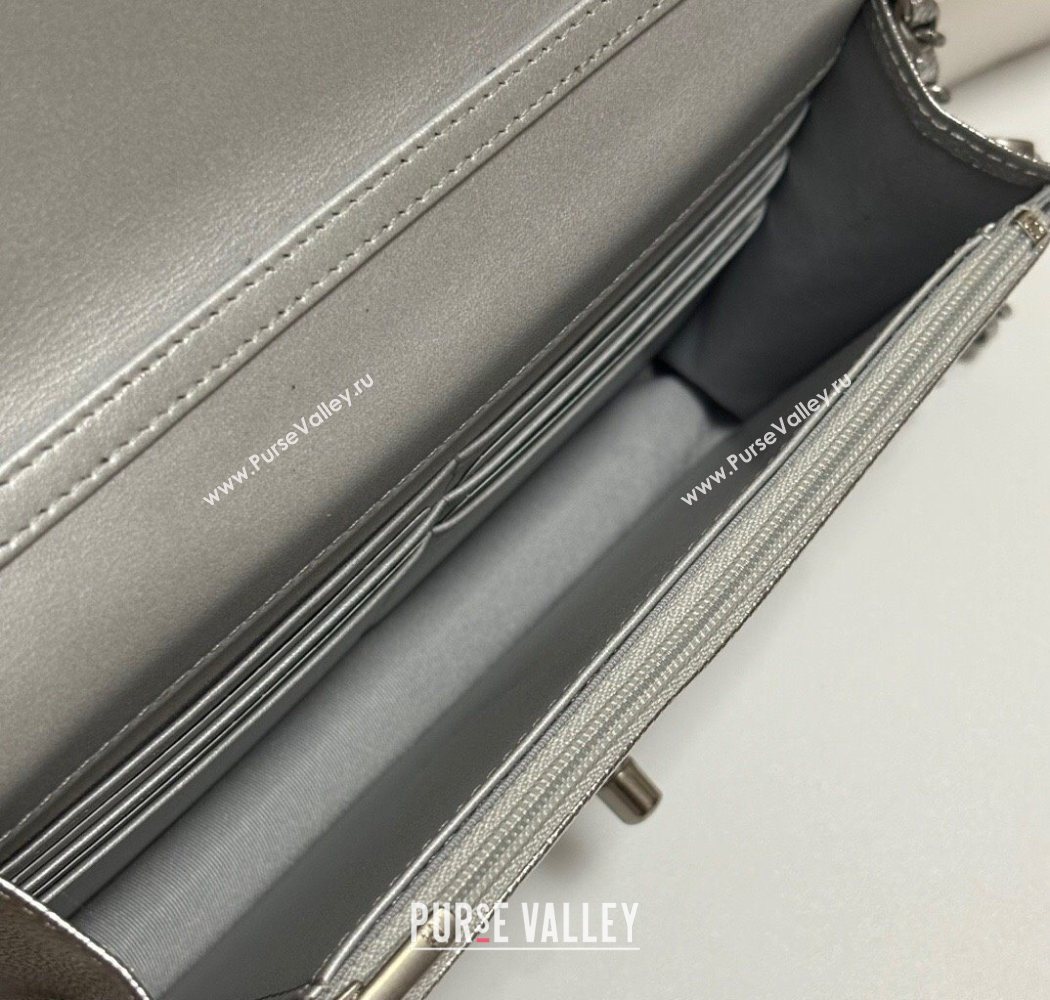 Chanel Grained Calfskin Wallet On Chain WOC AP3938 Silver 2025 (yezi-251010008)