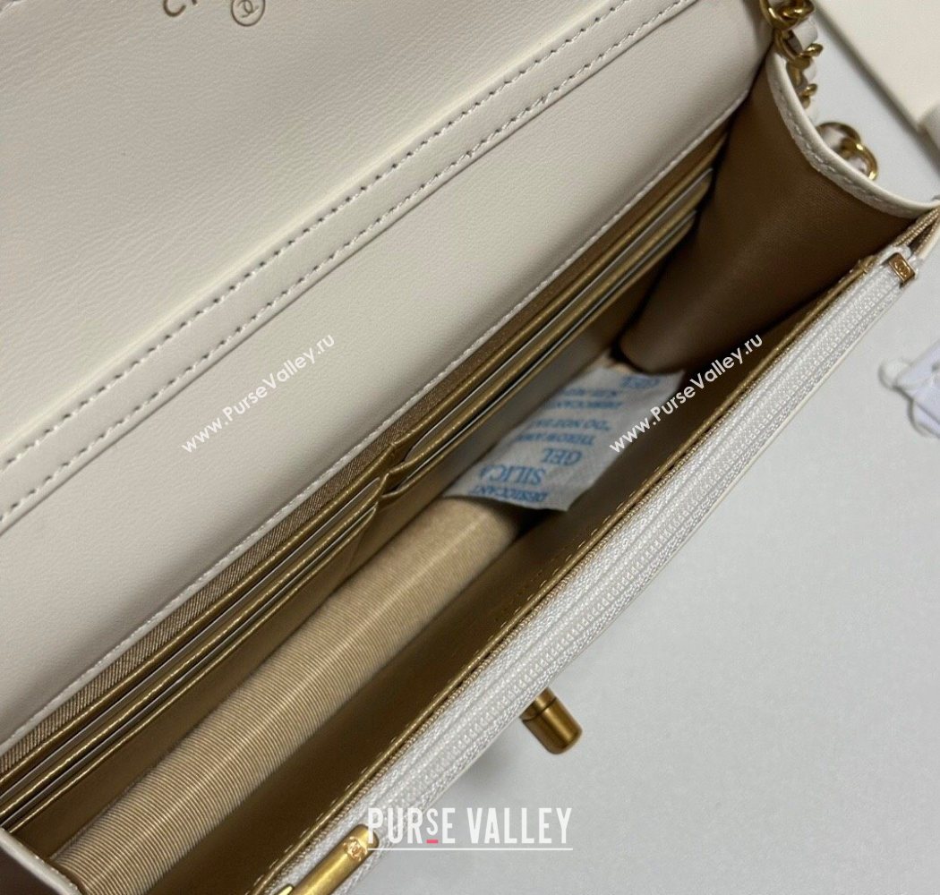 Chanel Shiny Lambskin Wallet On Chain WOC AP3938 White 2025 (yezi-251010009)