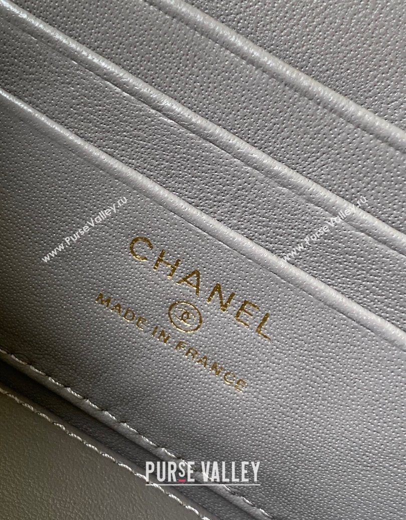 Chanel Lambskin Long Vanity with Chain and Top Handle Grey 2025 AP4842 (yezi-251010059)