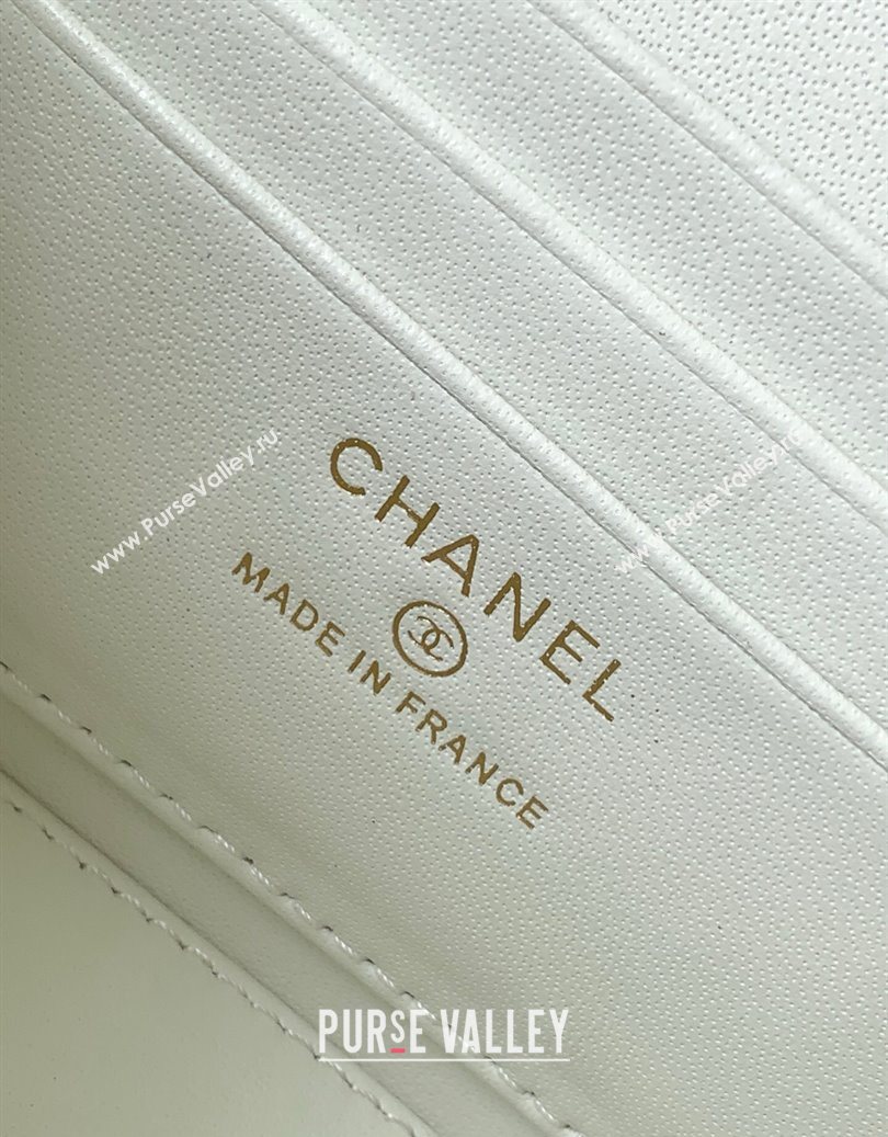 Chanel Lambskin Long Vanity with Chain and Top Handle White 2025 AP4842 (yezi-251010060)