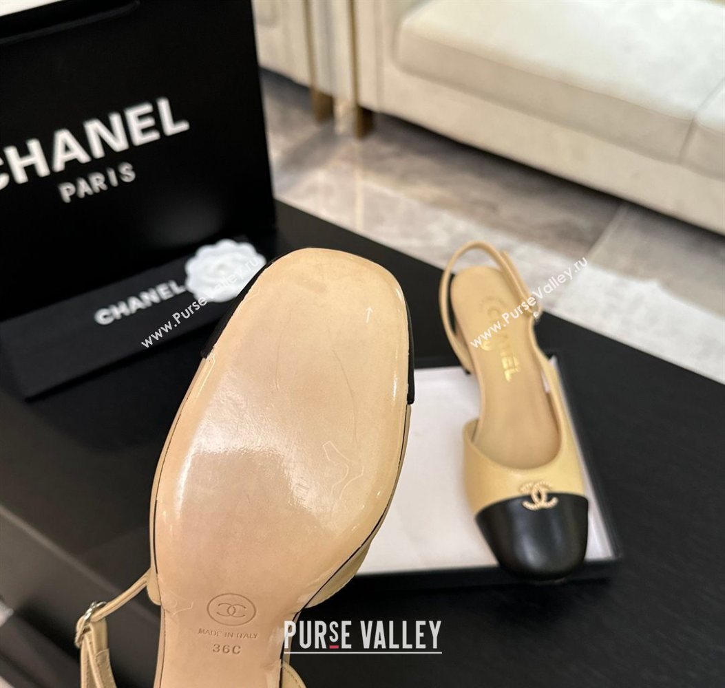 Chanel Lambskin and Calfskin Leather Slingback Pumps 6.5cm with Strass CC Beige 2025 CH110301 (MD-251103007)