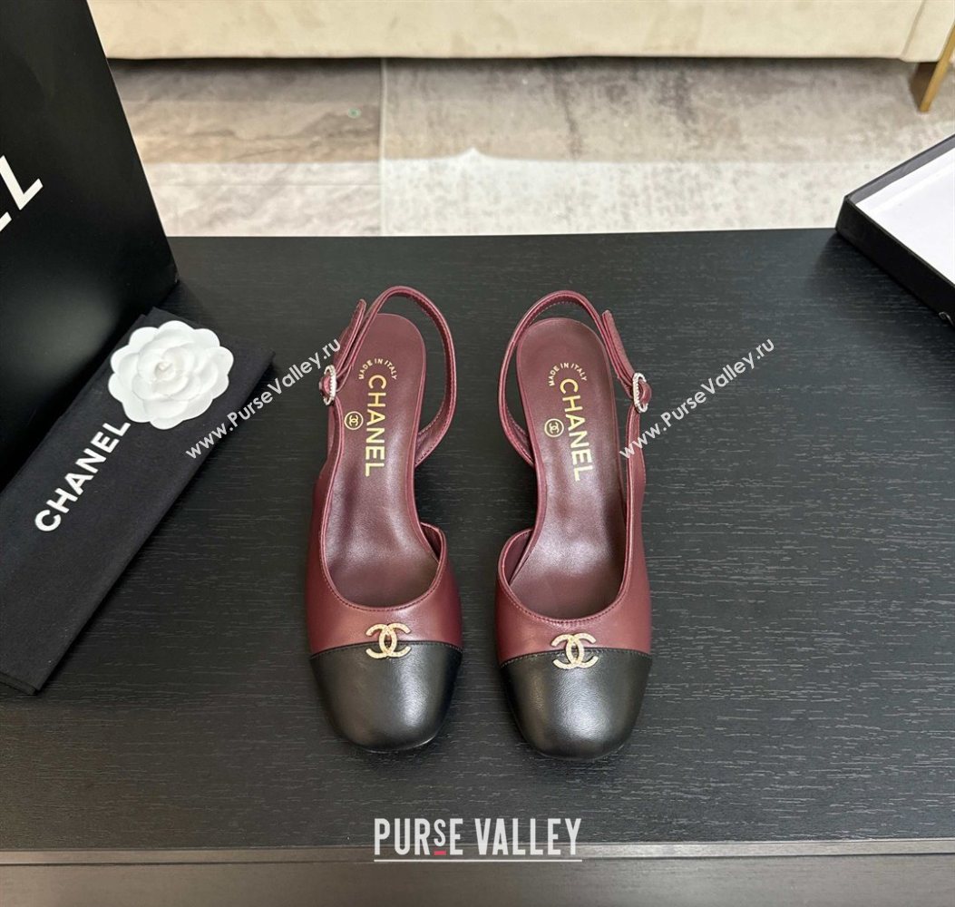 Chanel Lambskin and Calfskin Leather Slingback Pumps 6.5cm with Strass CC Burgundy 2025 CH110301 (MD-251103006)