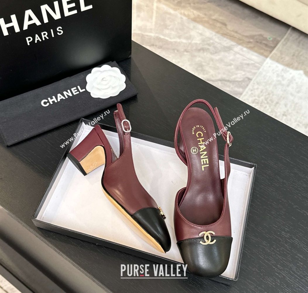 Chanel Lambskin and Calfskin Leather Slingback Pumps 6.5cm with Strass CC Burgundy 2025 CH110301 (MD-251103006)