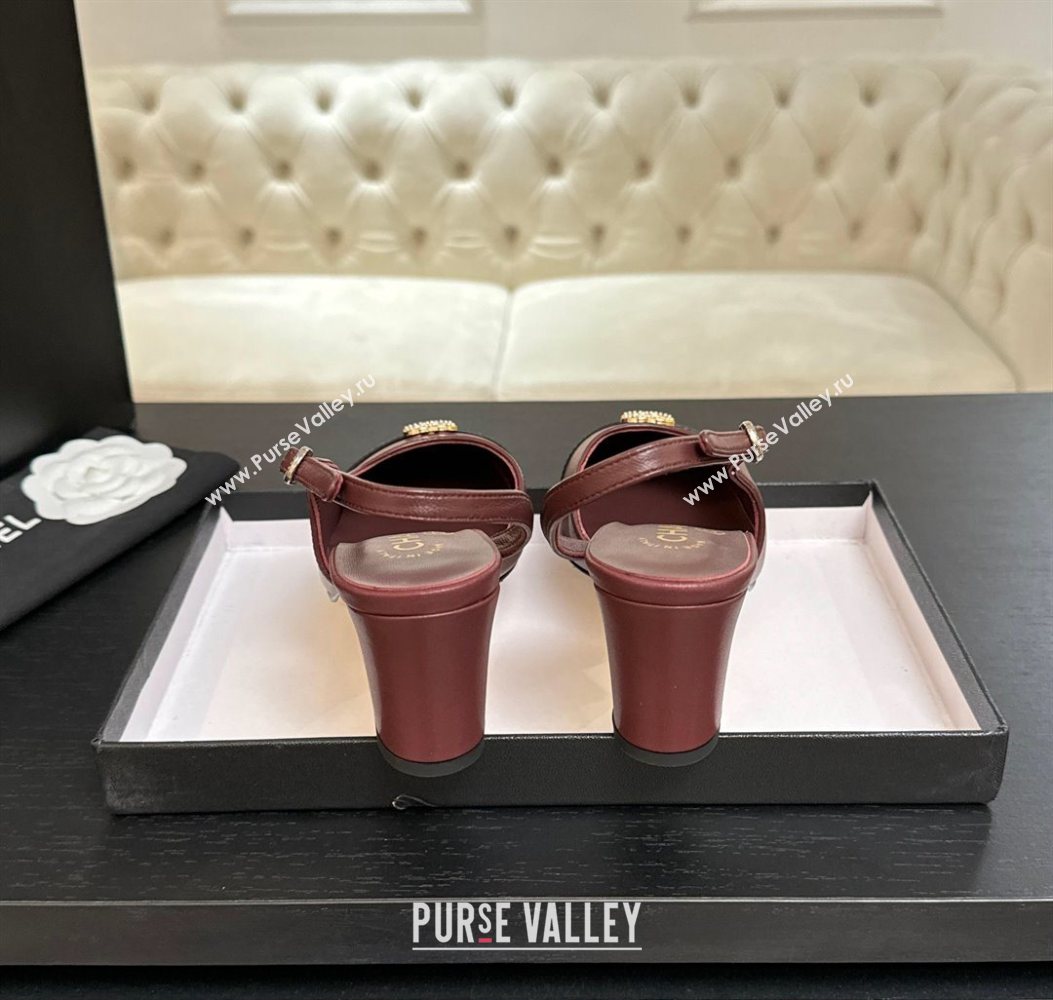 Chanel Lambskin and Calfskin Leather Slingback Pumps 6.5cm with Strass CC Burgundy 2025 CH110301 (MD-251103006)