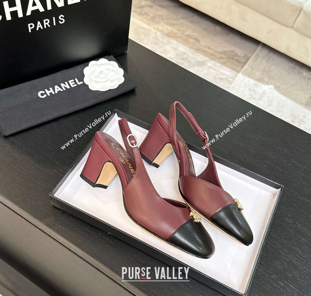 Chanel Lambskin and Calfskin Leather Slingback Pumps 6.5cm with Strass CC Burgundy 2025 CH110301 (MD-251103006)