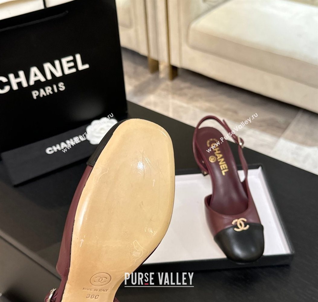 Chanel Lambskin and Calfskin Leather Slingback Pumps 6.5cm with Strass CC Burgundy 2025 CH110301 (MD-251103006)