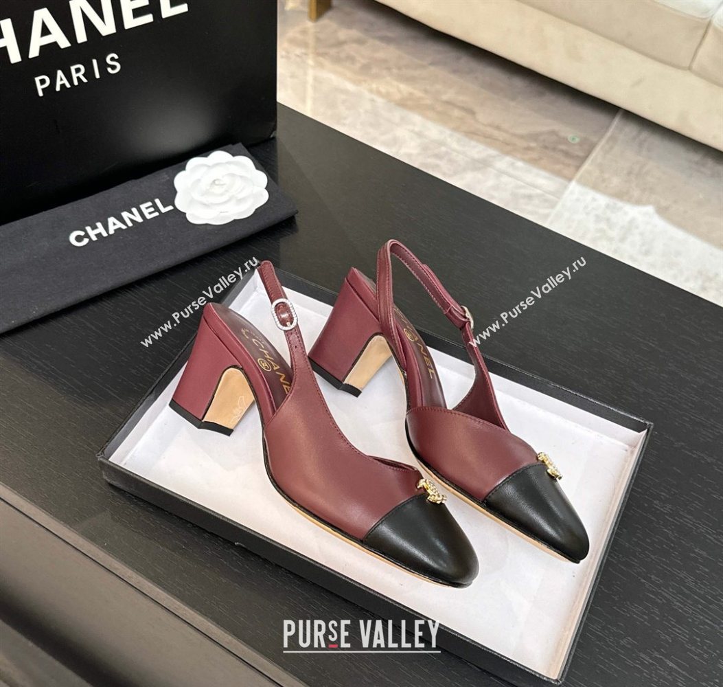 Chanel Lambskin and Calfskin Leather Slingback Pumps 6.5cm with Strass CC Burgundy 2025 CH110301 (MD-251103006)