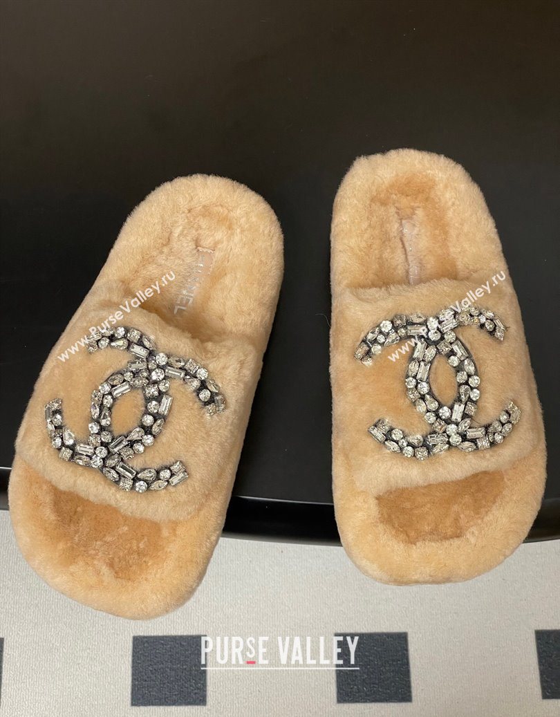 Chanel Wool Platform Slides Sandal with Strass CC Pale Pink 2025 CH110305 (MD-251103085)