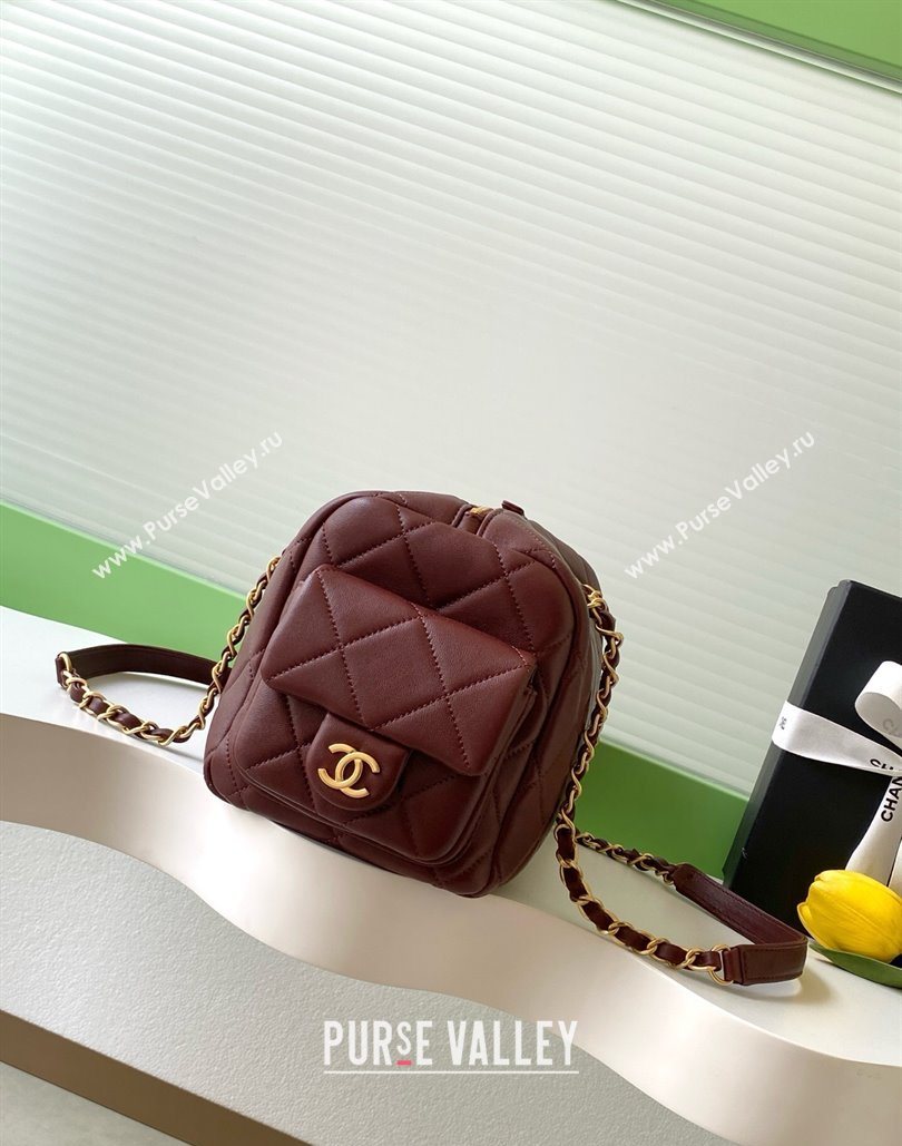 Chanel Calfskin Leather Bowling Bag Dark Burgundy 2025 AS5791 (yezi-251127019)