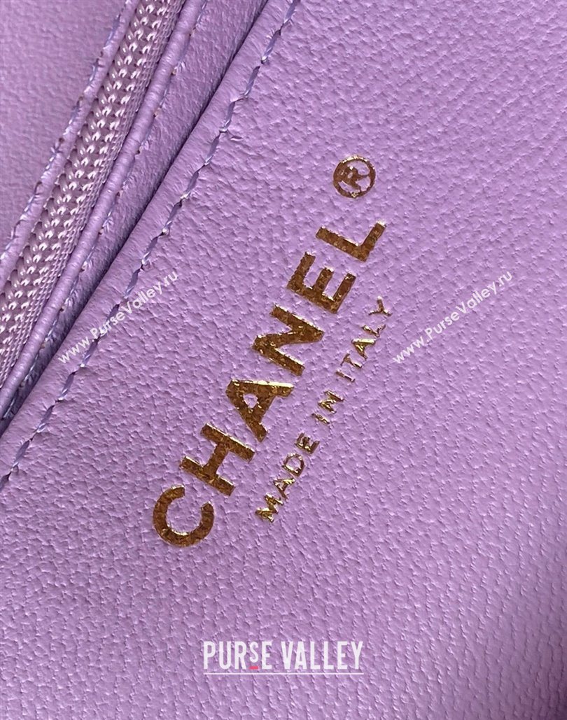 Chanel Rabbit Fur Mini Classic Handbag With Top Handle Purple 2025 AS2431 (yezi-251127130)