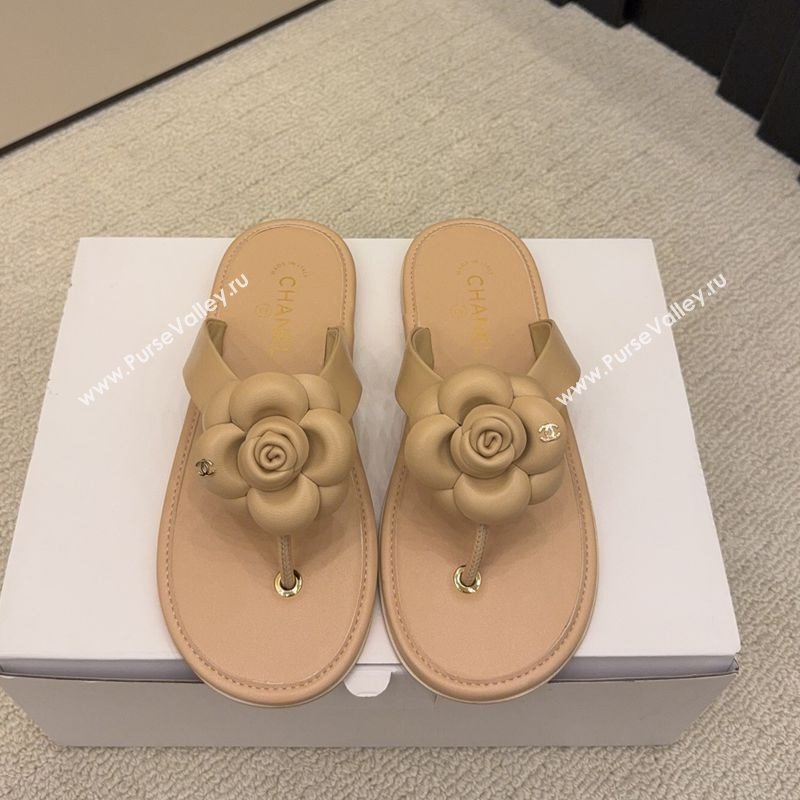 Chanel Calfskin Leather Flat Thongs Slide Sandal with Camellia Bloom Beige 2025 G46988 (MD-251223082)