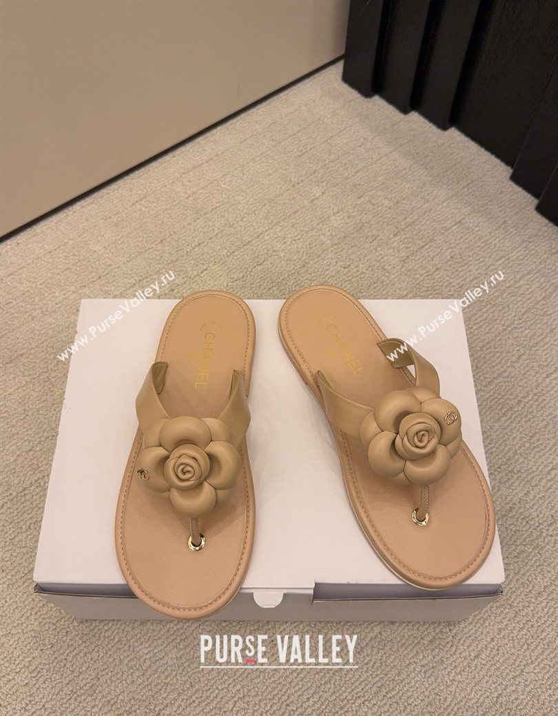 Chanel Calfskin Leather Flat Thongs Slide Sandal with Camellia Bloom Beige 2025 G46988 (MD-251223082)