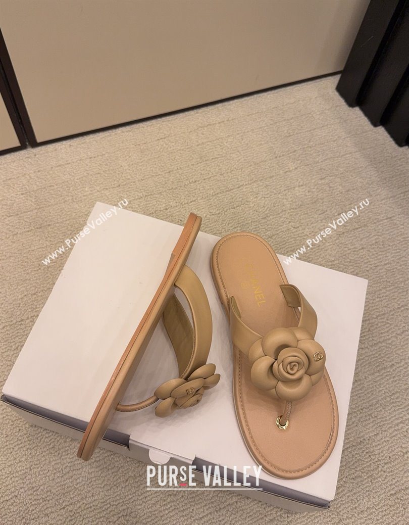 Chanel Calfskin Leather Flat Thongs Slide Sandal with Camellia Bloom Beige 2025 G46988 (MD-251223082)