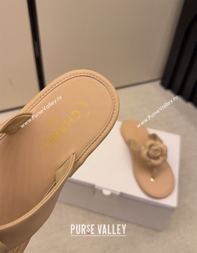 Chanel Calfskin Leather Flat Thongs Slide Sandal with Camellia Bloom Beige 2025 G46988 (MD-251223082)