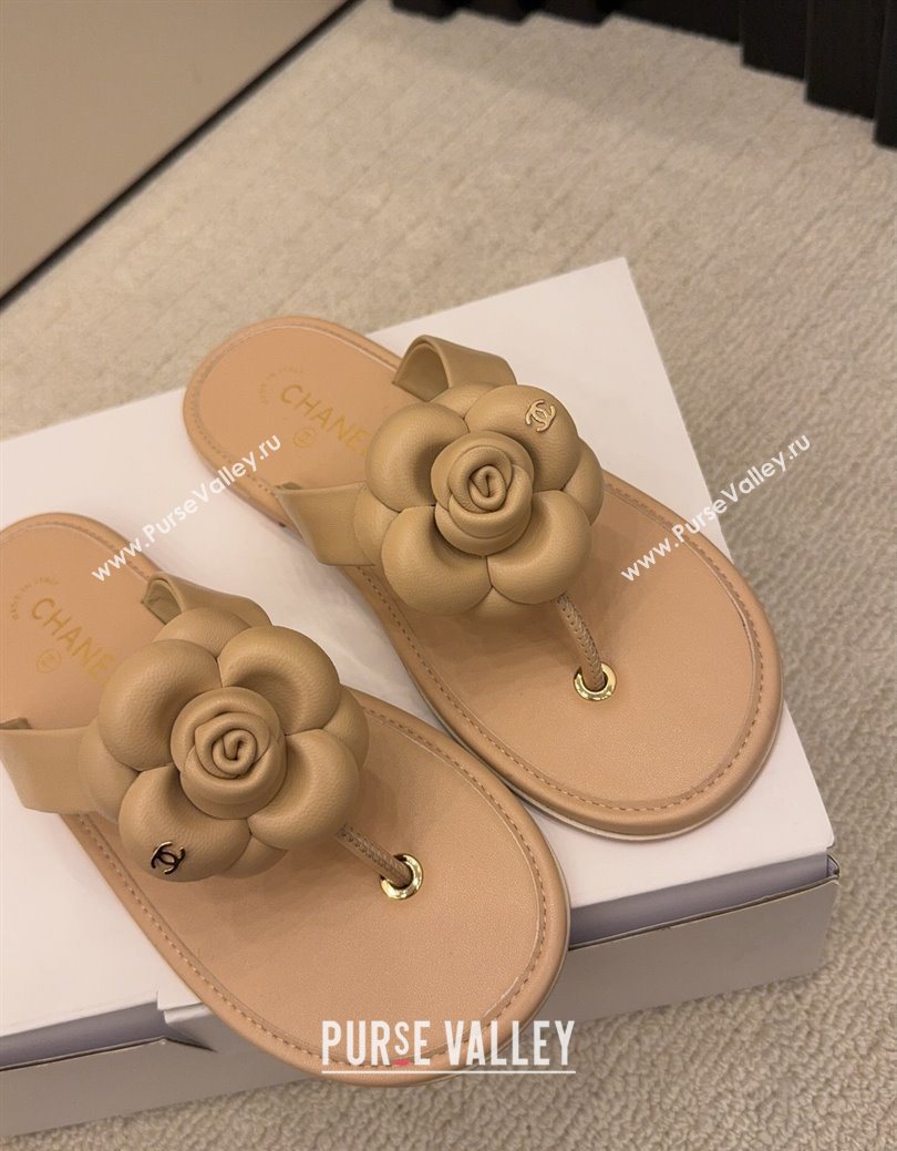 Chanel Calfskin Leather Flat Thongs Slide Sandal with Camellia Bloom Beige 2025 G46988 (MD-251223082)