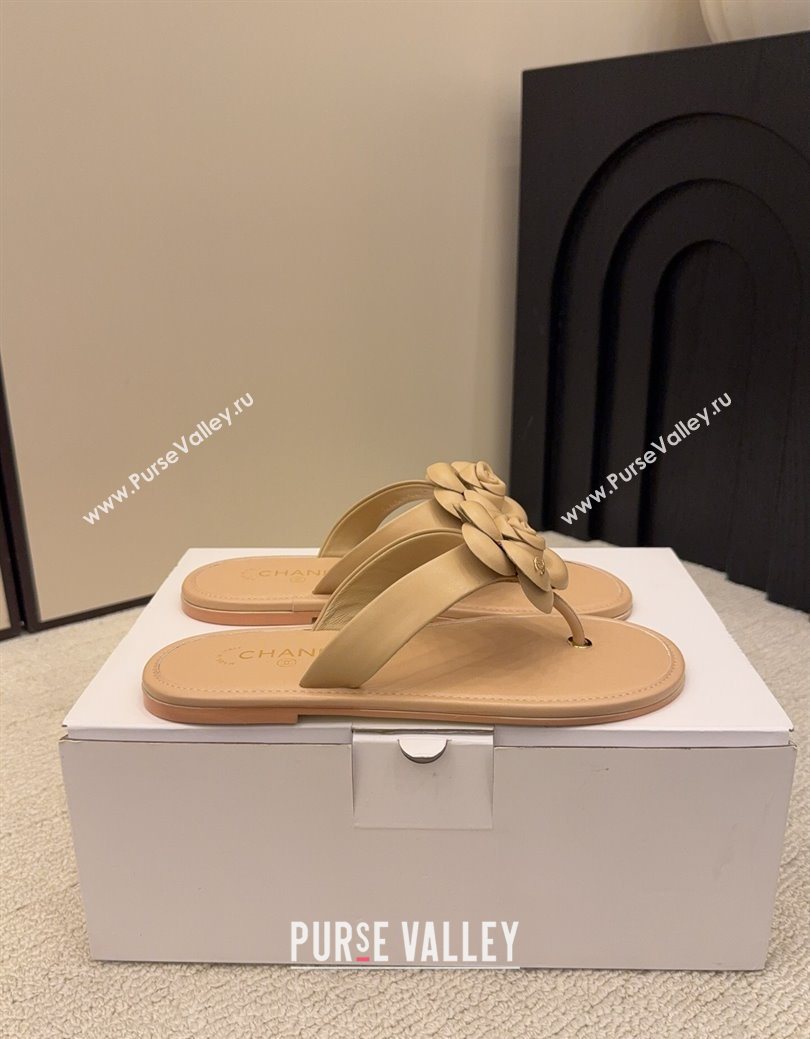 Chanel Calfskin Leather Flat Thongs Slide Sandal with Camellia Bloom Beige 2025 G46988 (MD-251223082)