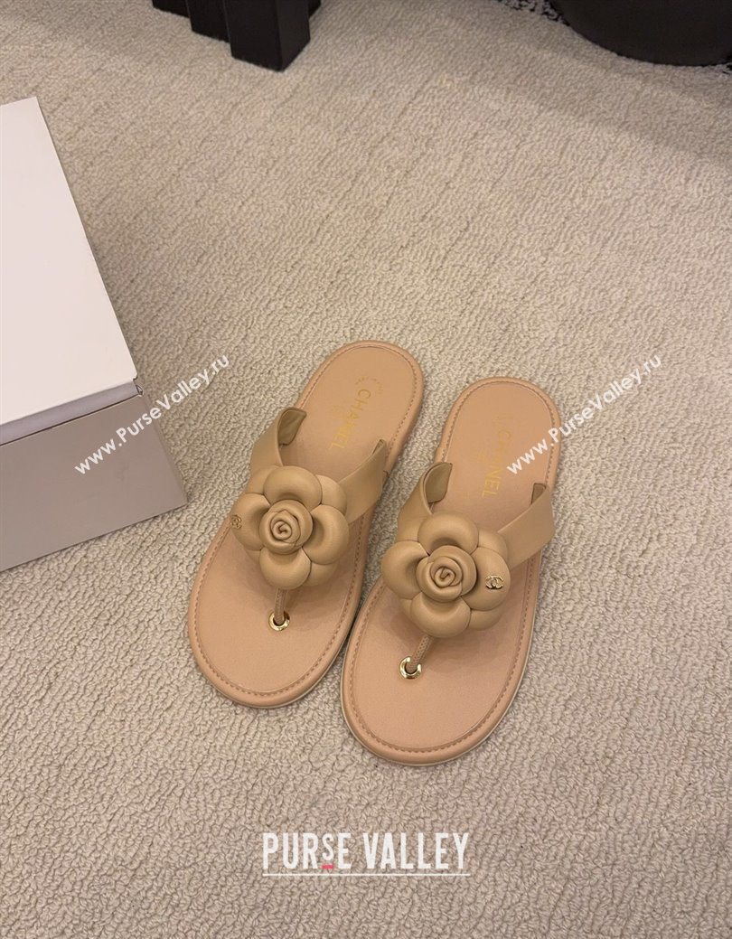 Chanel Calfskin Leather Flat Thongs Slide Sandal with Camellia Bloom Beige 2025 G46988 (MD-251223082)