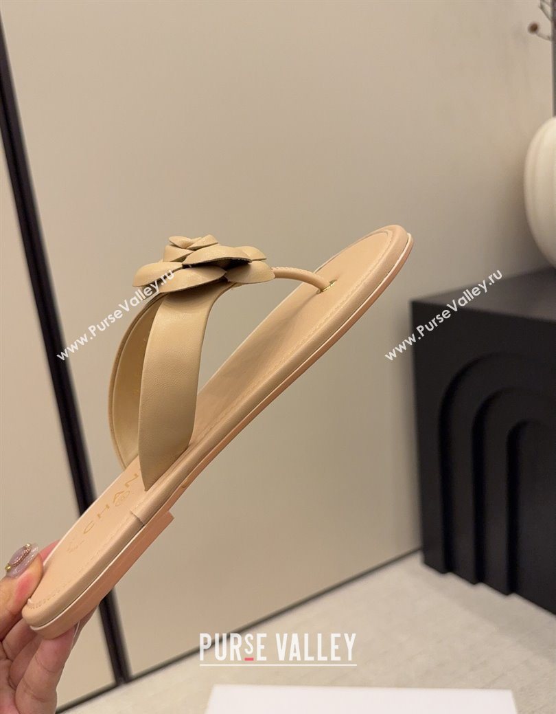 Chanel Calfskin Leather Flat Thongs Slide Sandal with Camellia Bloom Beige 2025 G46988 (MD-251223082)