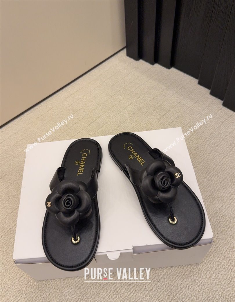 Chanel Calfskin Leather Flat Thongs Slide Sandal with Camellia Bloom Black 2025 G46988 (MD-251223083)