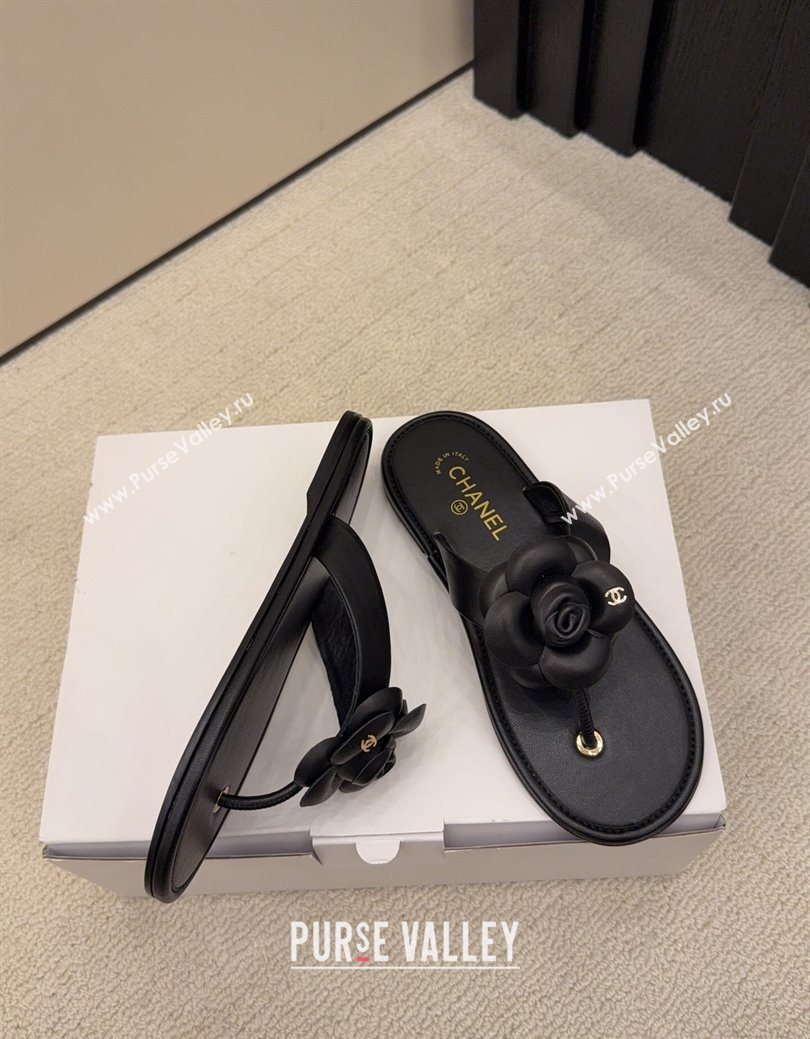 Chanel Calfskin Leather Flat Thongs Slide Sandal with Camellia Bloom Black 2025 G46988 (MD-251223083)