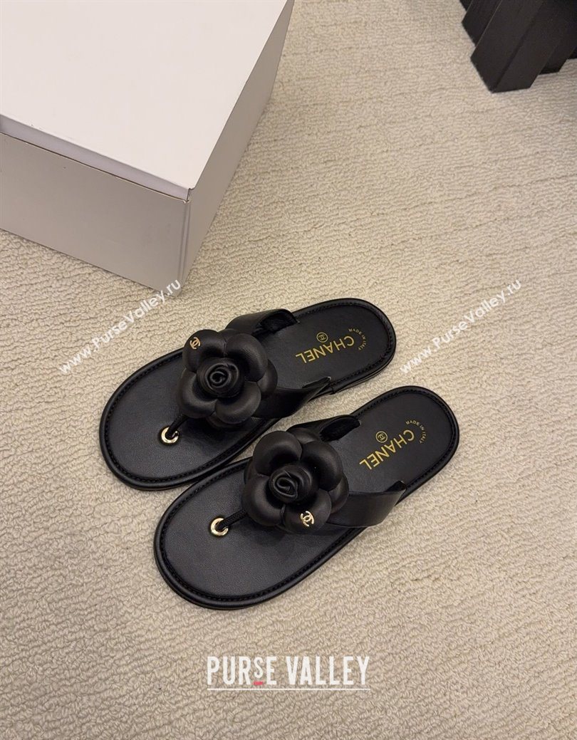 Chanel Calfskin Leather Flat Thongs Slide Sandal with Camellia Bloom Black 2025 G46988 (MD-251223083)