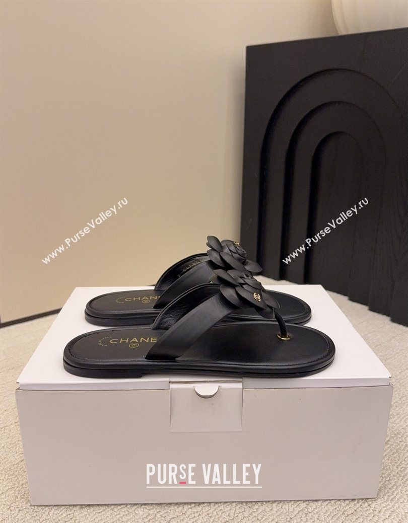 Chanel Calfskin Leather Flat Thongs Slide Sandal with Camellia Bloom Black 2025 G46988 (MD-251223083)