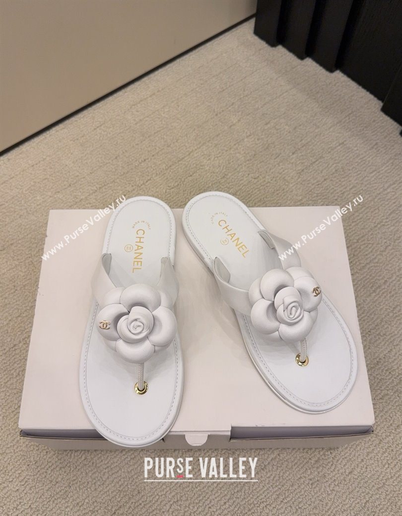 Chanel Calfskin Leather Flat Thongs Slide Sandal with Camellia Bloom White 2025 G46988 (MD-251223084)