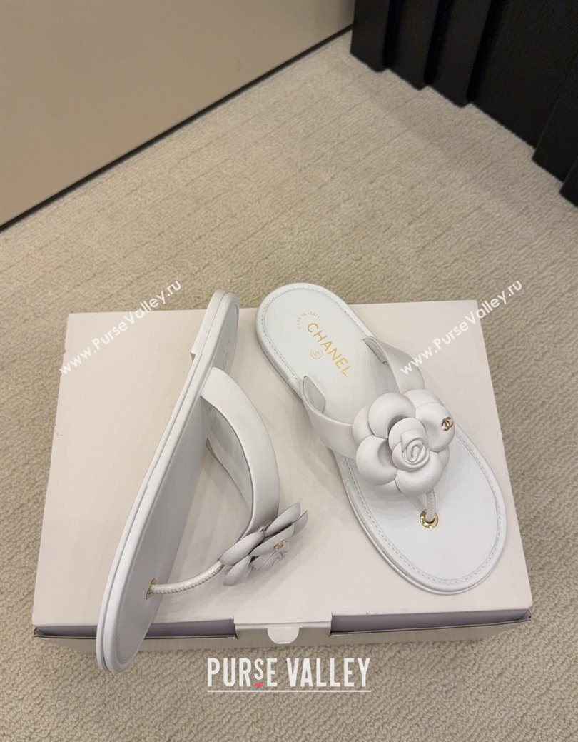 Chanel Calfskin Leather Flat Thongs Slide Sandal with Camellia Bloom White 2025 G46988 (MD-251223084)