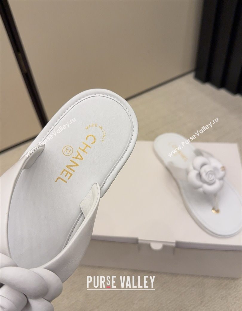 Chanel Calfskin Leather Flat Thongs Slide Sandal with Camellia Bloom White 2025 G46988 (MD-251223084)