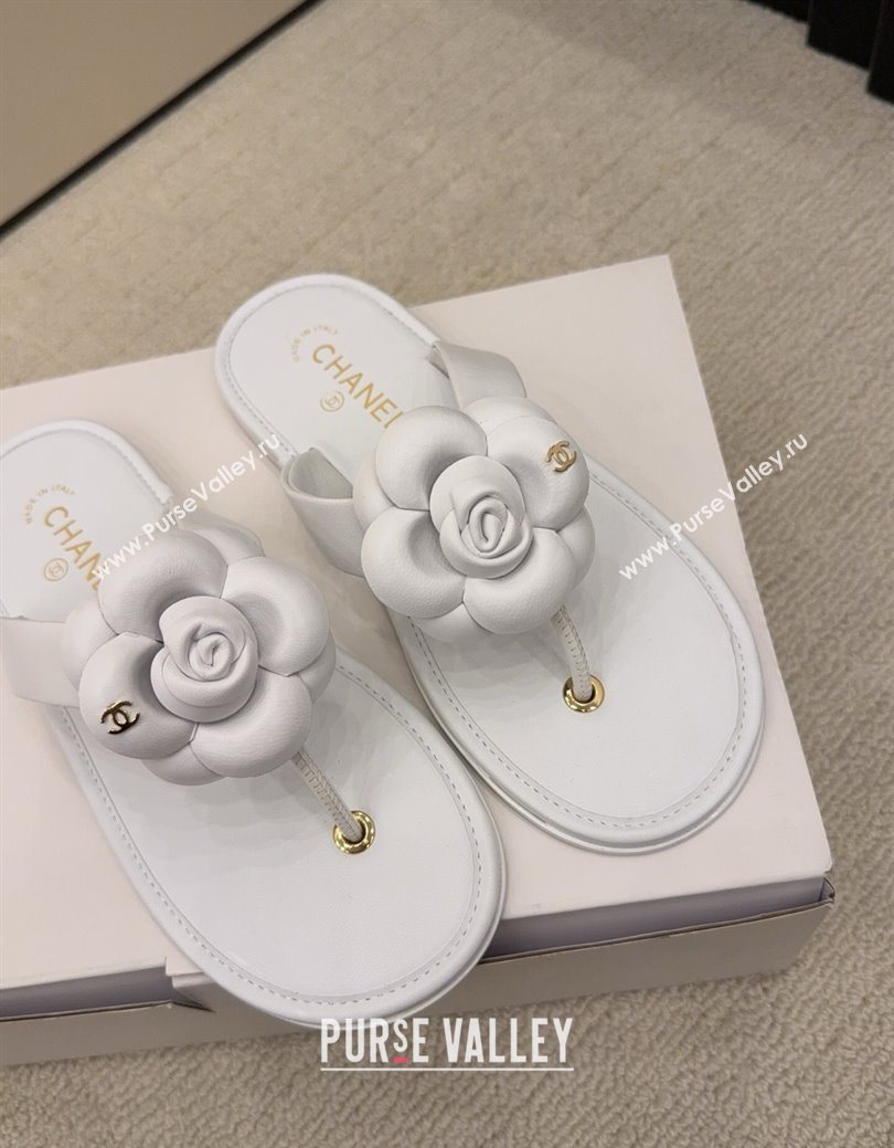 Chanel Calfskin Leather Flat Thongs Slide Sandal with Camellia Bloom White 2025 G46988 (MD-251223084)