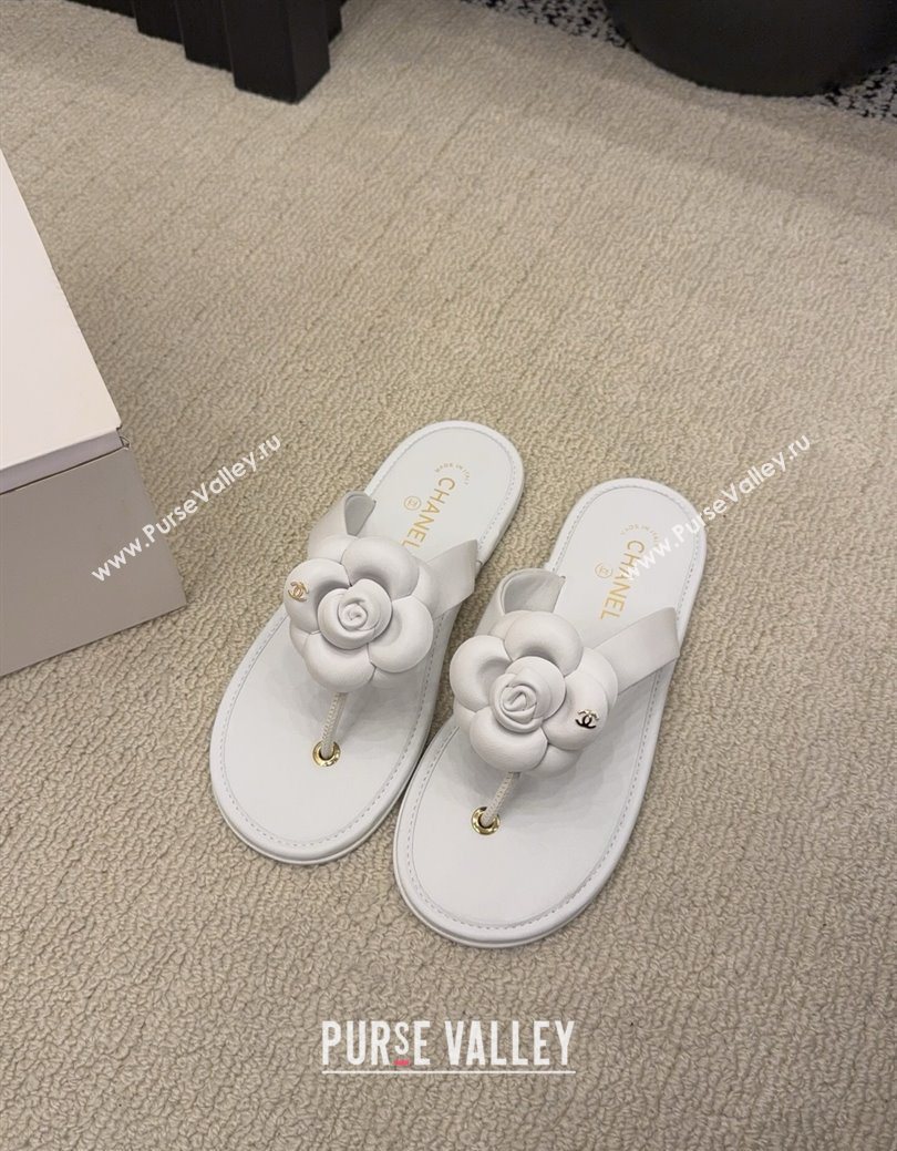 Chanel Calfskin Leather Flat Thongs Slide Sandal with Camellia Bloom White 2025 G46988 (MD-251223084)