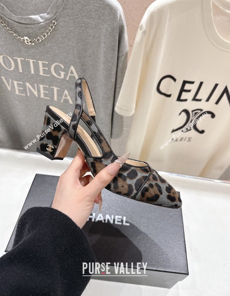 Chanel Printed Mohair Slingbacks Pump 6.5cm Grey 2025 G31318 1224 (MD-251224068)