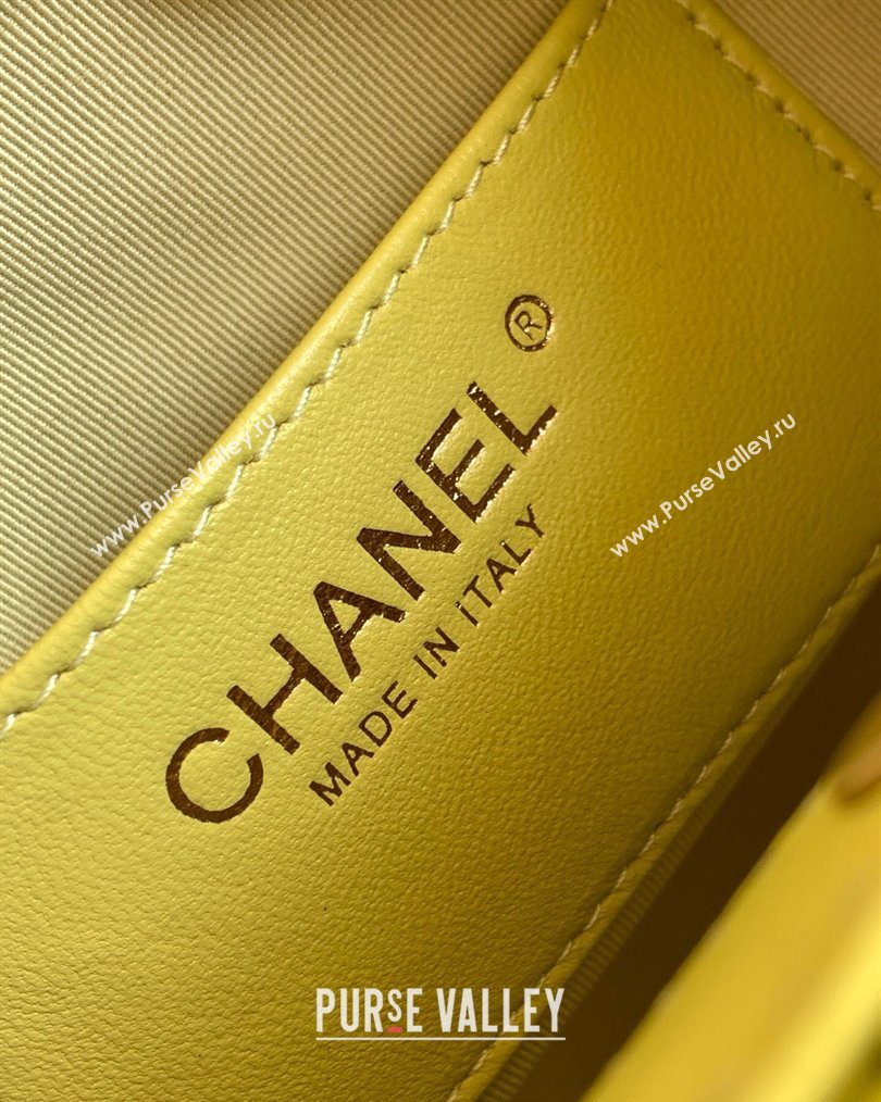 Chanel Calfskin Leather Turtoise-Shell Effect Top Handle Small Hobo Bag Yellow 2026 AS6022 (yezi-260203069)