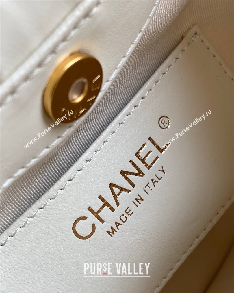 Chanel Calfskin Leather Turtoise-Shell Effect Top Handle Small Hobo Bag White 2026 AS6022 (yezi-260203070)