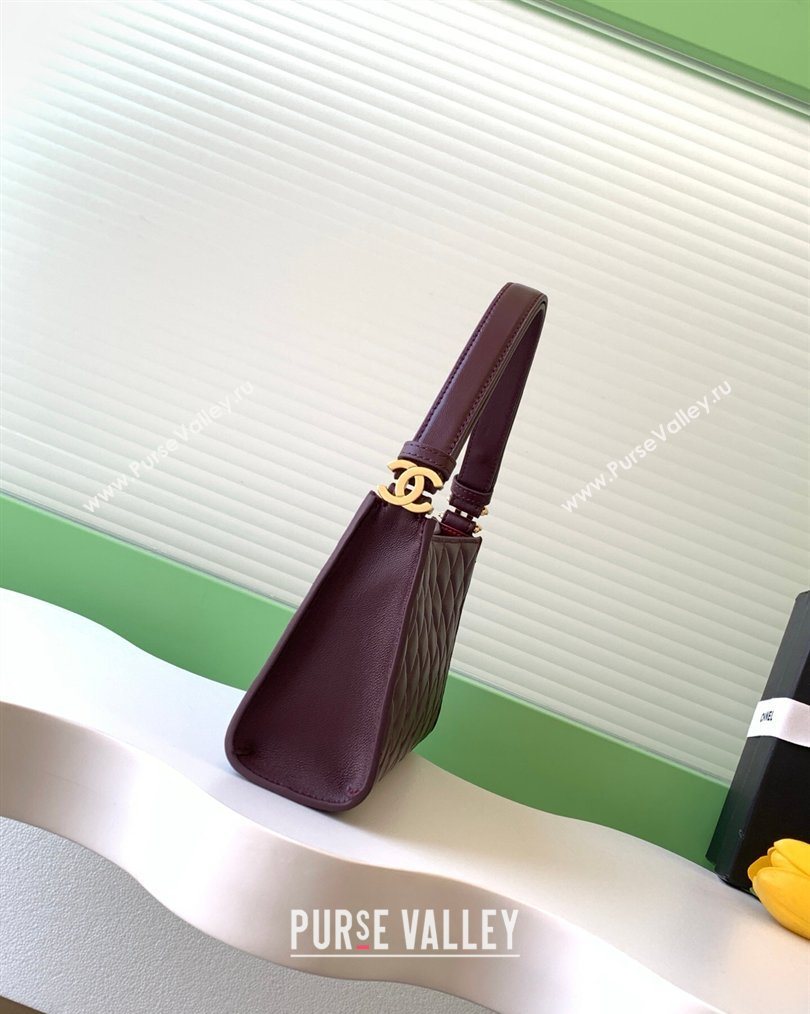 Chanel Lambskin Leather Hobo Bag Dark Brown 2026 AS6045 (yezi-260204023)