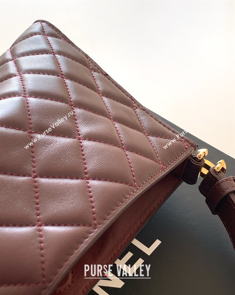 Chanel Lambskin Leather Hobo Bag Dark Brown 2026 AS6045 (yezi-260204023)