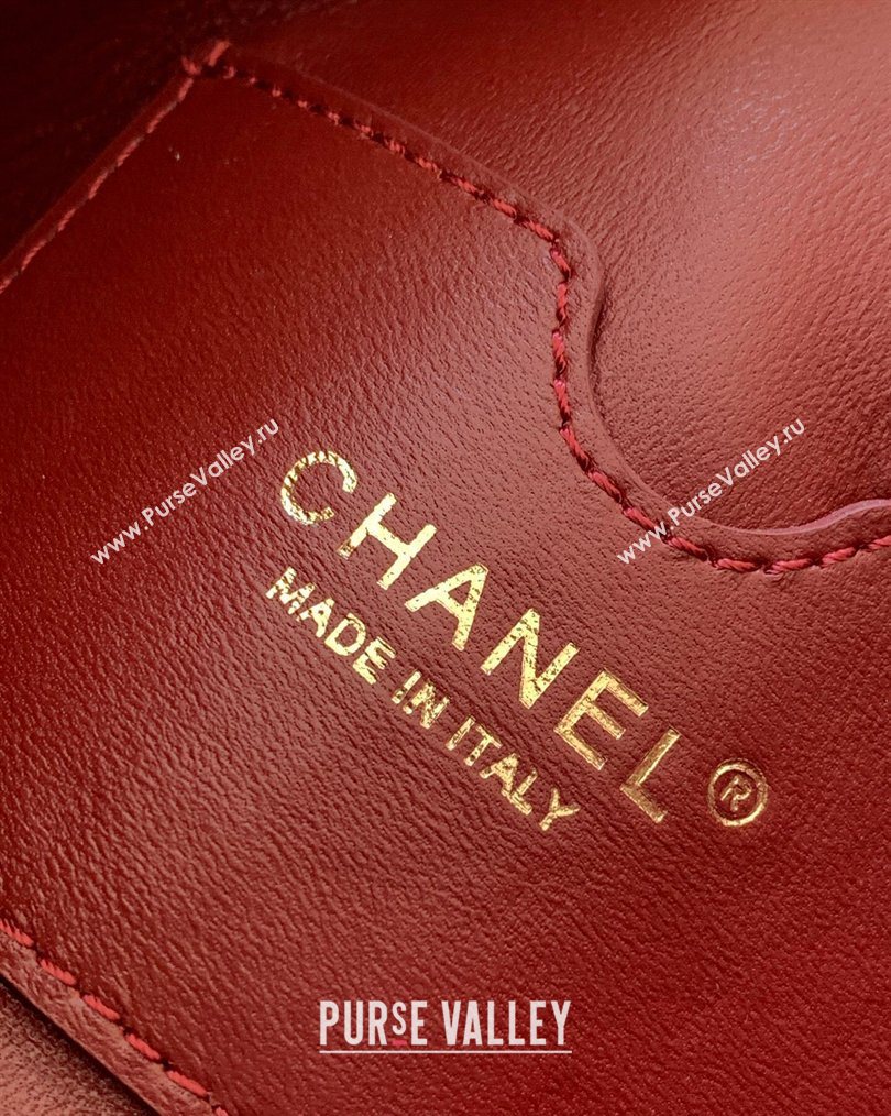 Chanel Lambskin Leather Hobo Bag Dark Brown 2026 AS6045 (yezi-260204023)