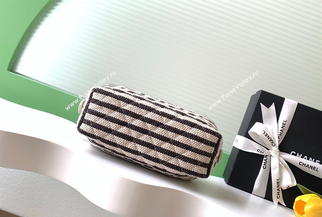 Chanel Striped Printed Fabric Zipped Case Black 2026 AP4990 (yezi-260204095)