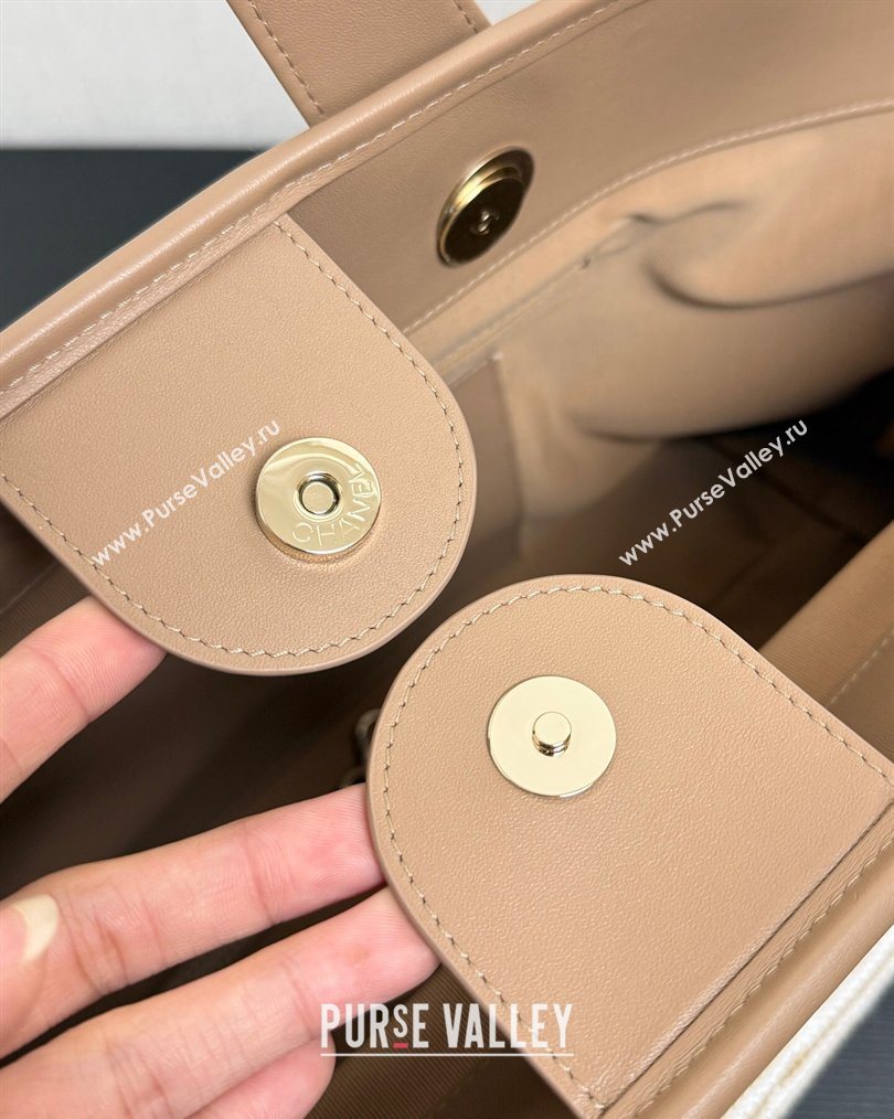 Chanel Striped Printed Fabric Shopping Bag Beige 2026 AS6007 (yezi-260204092)