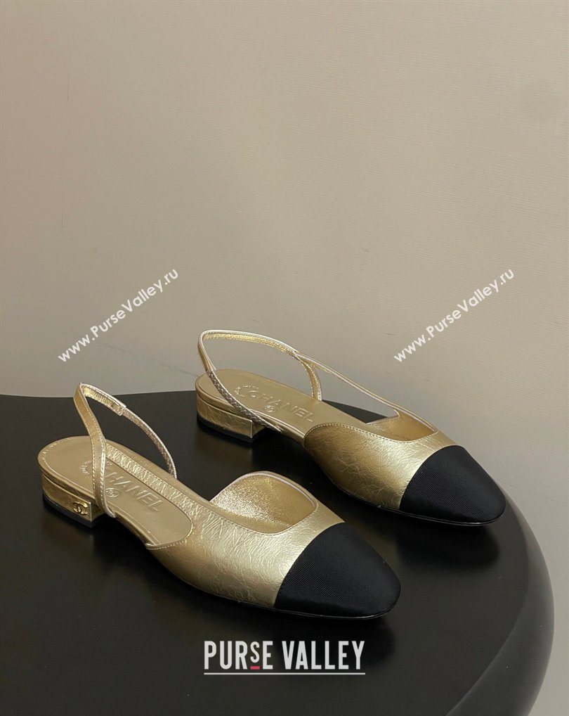Chanel Metallic Leather Grosgrain Slingbacks Flat Gold/Black 2026 G31319 0309 (MD-260309035)
