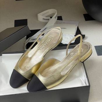 Chanel Metallic Leather Grosgrain Slingbacks Flat Gold/Black 2026 G31319 0309 (MD-260309035)