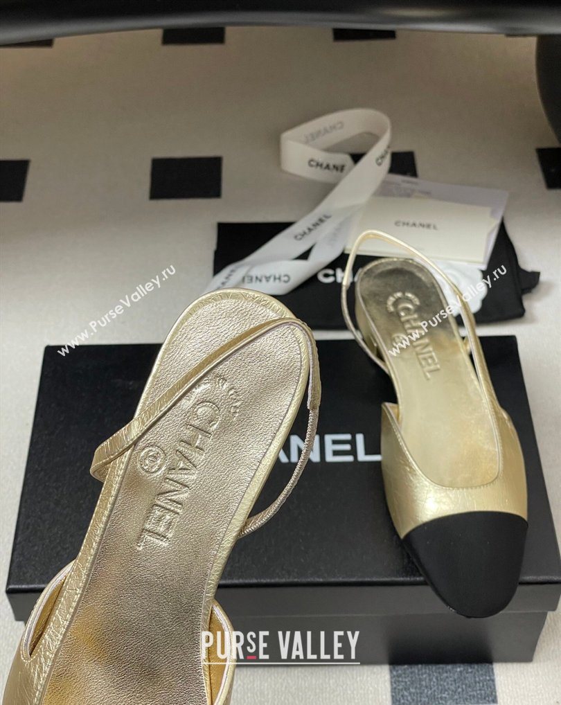 Chanel Metallic Leather Grosgrain Slingbacks Flat Gold/Black 2026 G31319 0309 (MD-260309035)