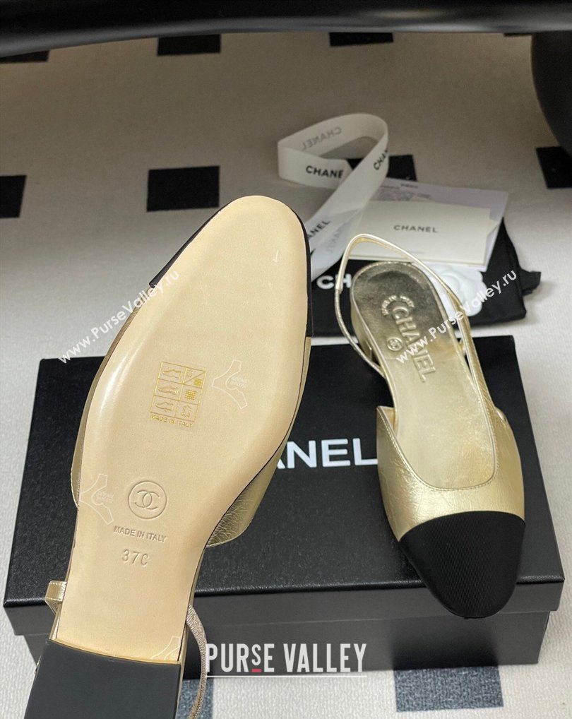 Chanel Metallic Leather Grosgrain Slingbacks Flat Gold/Black 2026 G31319 0309 (MD-260309035)
