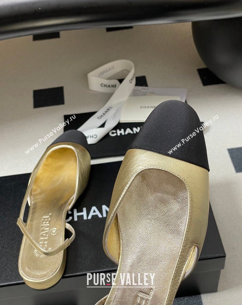 Chanel Metallic Leather Grosgrain Slingbacks Flat Gold/Black 2026 G31319 0309 (MD-260309035)