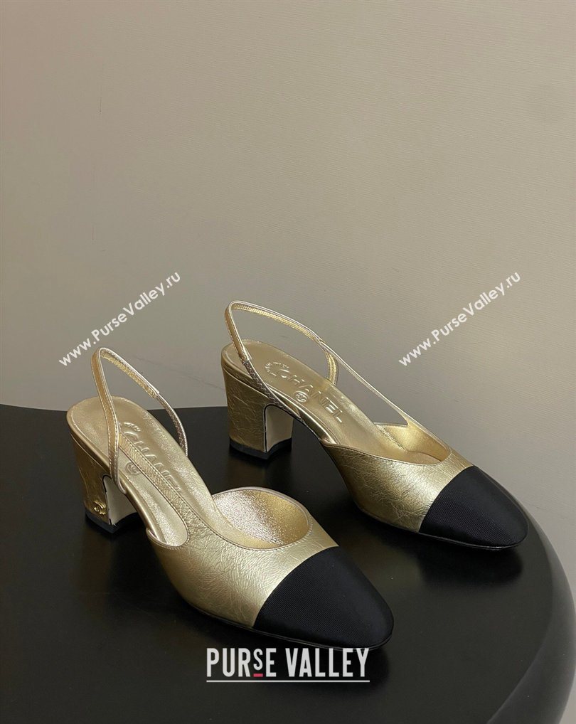Chanel Metallic Leather Grosgrain Slingbacks Pump 6.5cm Gold/Black 2026 G31318 0309 (MD-260309036)