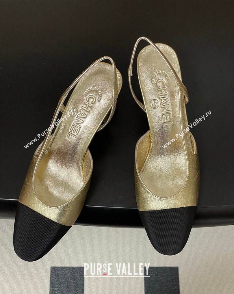 Chanel Metallic Leather Grosgrain Slingbacks Pump 6.5cm Gold/Black 2026 G31318 0309 (MD-260309036)