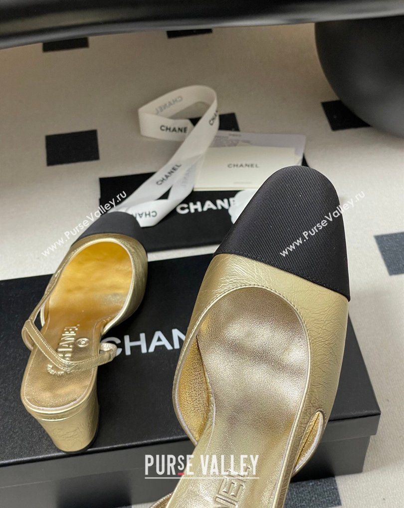 Chanel Metallic Leather Grosgrain Slingbacks Pump 6.5cm Gold/Black 2026 G31318 0309 (MD-260309036)